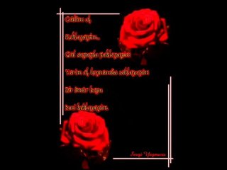 Seni Seviyorum (Rap) Dj_Ferdi
