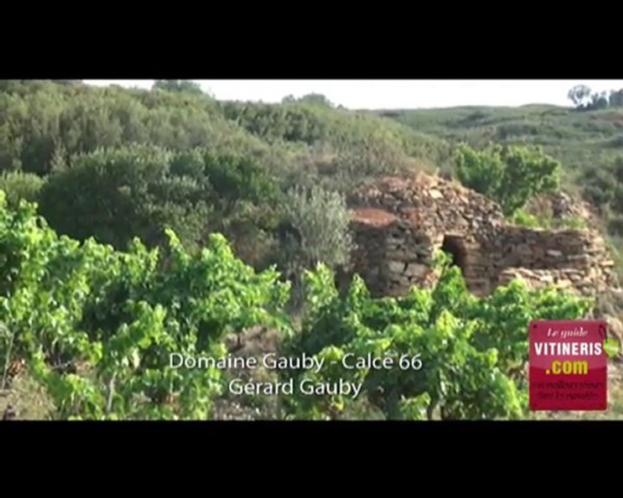 Domaine Gauby