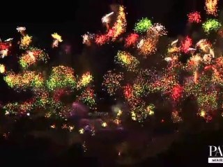 Le feu d'artifice du 14 juillet