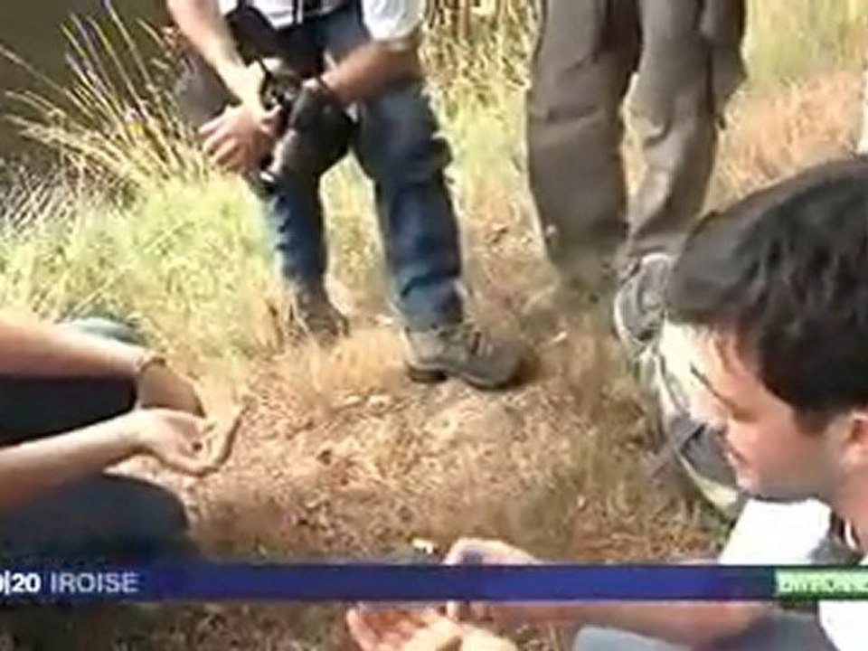 France3 Iroise (12/07/10) - Chemin de Ki-Dour (loutre) GMB