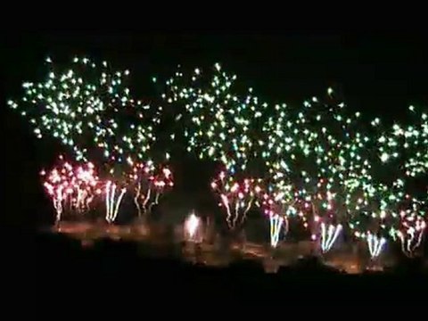 Feu d'artifice Carcassonne 2010