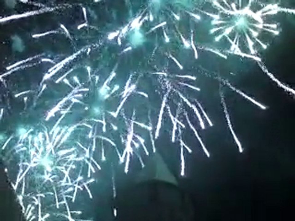 feu artifice cité 2010