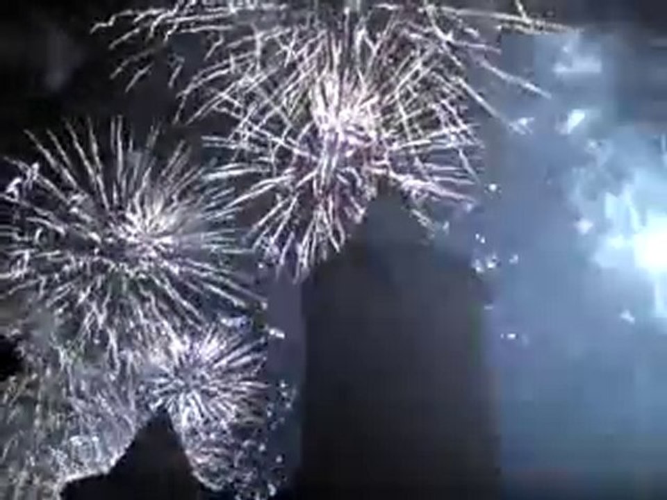feu artifice cité 2010 #2