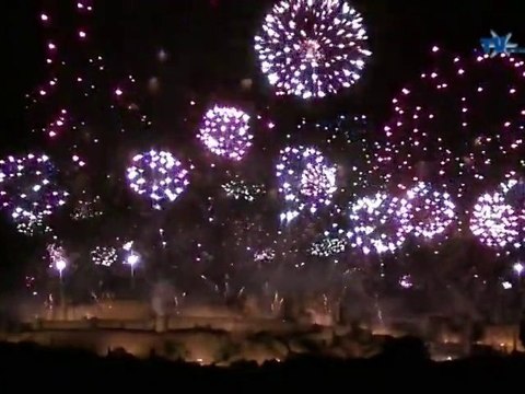 Feu d'Artifice Embrasement Cité Carcassonne 14 juillet 2010
