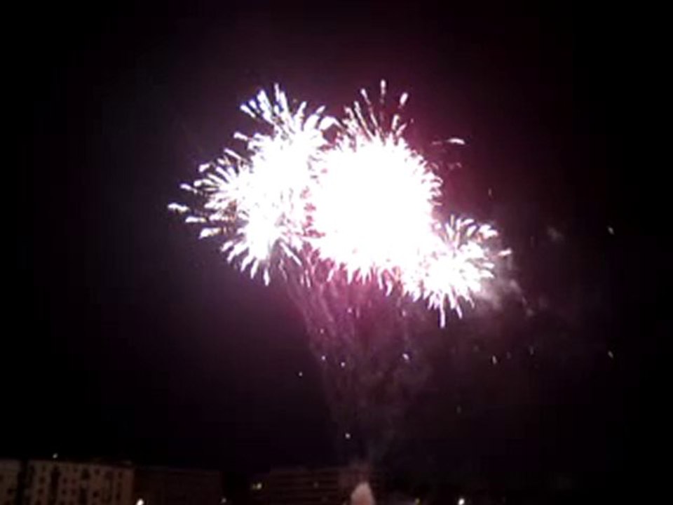 Feu d'artifice 14 juillet 2010 Le Pecq au bord de l'eau