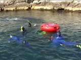 Randonnée subaquatique dans les Calanques