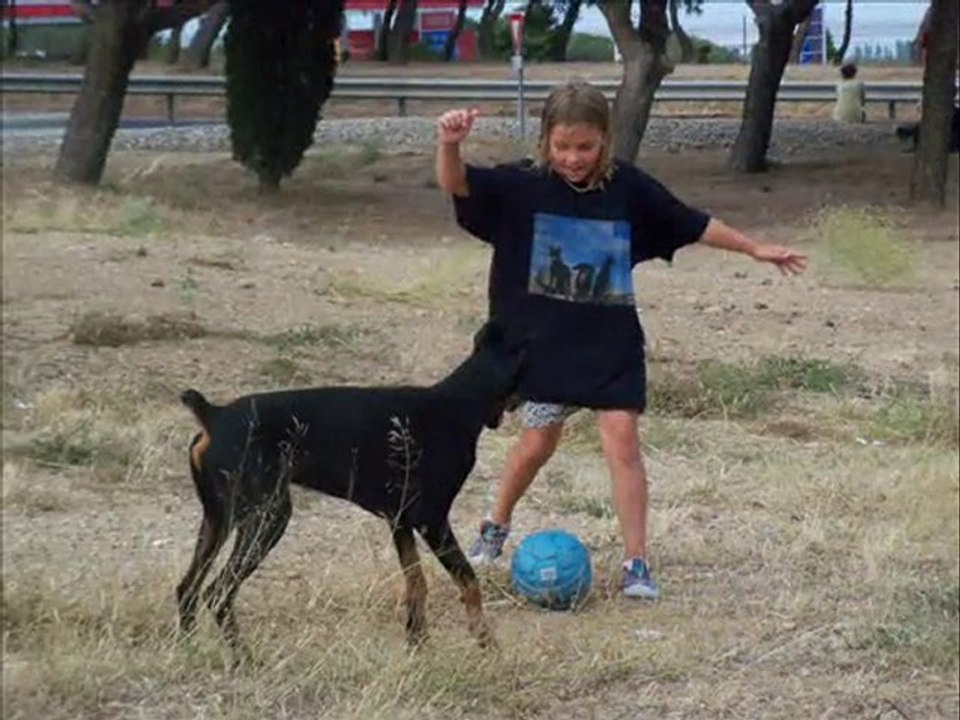 d'autre sorties de nous