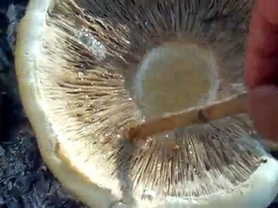 ÇAMBAŞI KÖYÜ MANTARI KÖZDE PİŞİRDİK