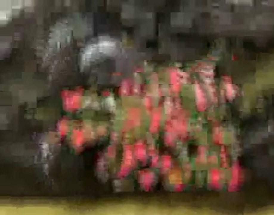 REUNION Plaine des Palmistes sur www.outre-mer.fr