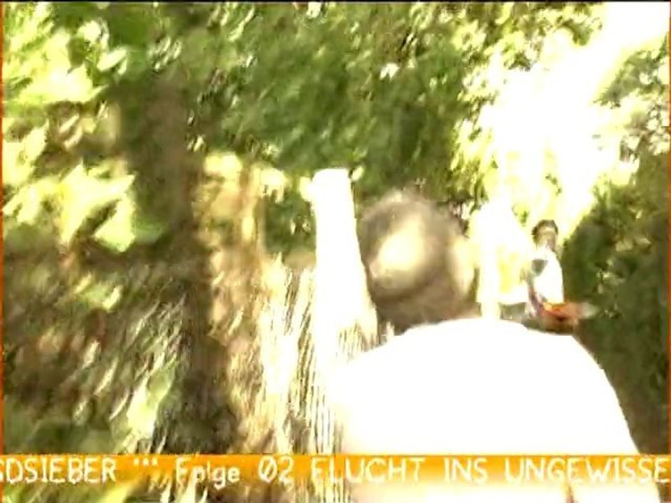 Jagdsieber - folge 02 - flucht ins ungewisse