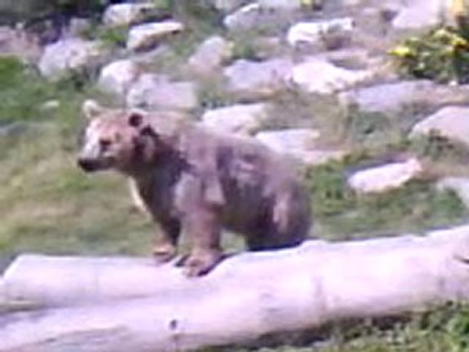 zoo de dunkerque