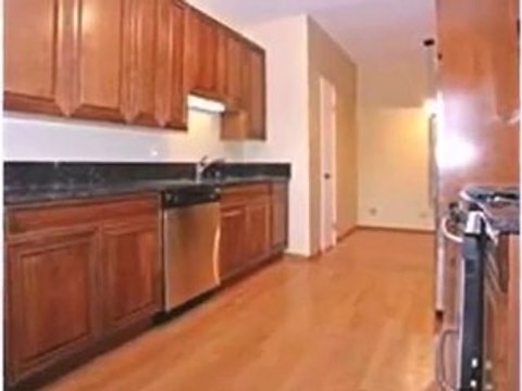 Homes for Sale - 810 W Lakeside Pl Apt 306 - Chicago, IL 606