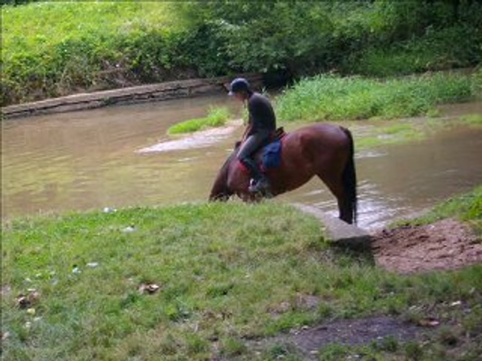 Team CCE (lL)