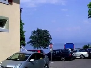 Veterinaire à St Prex Morges Vetmidi