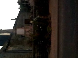 Nollie BS Shovit