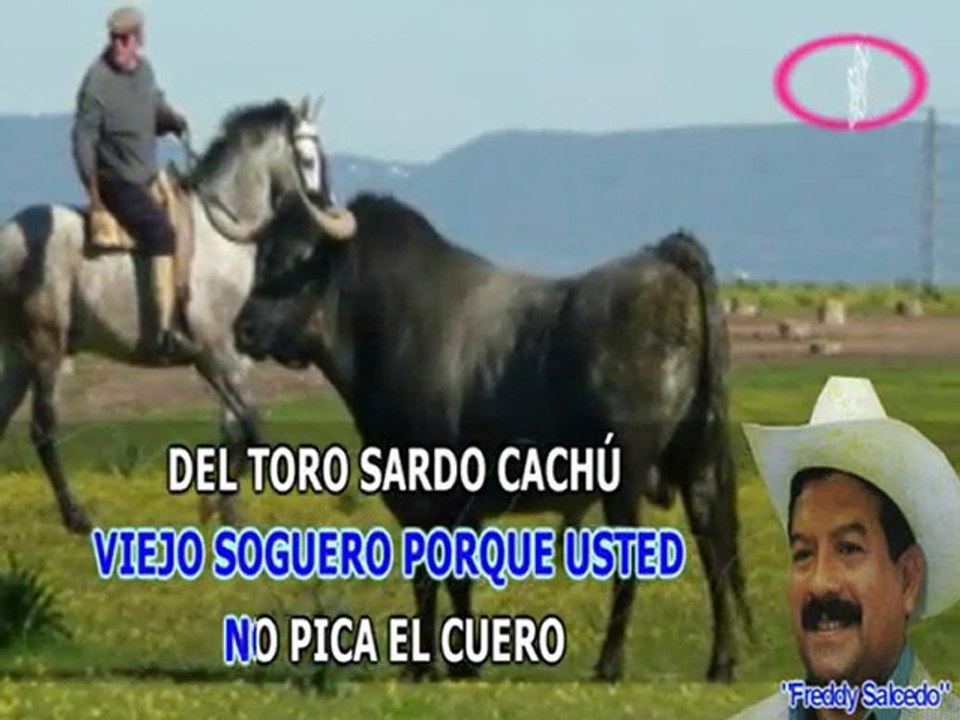 Fredy Salcedo - Viejo Soguero - karaoke