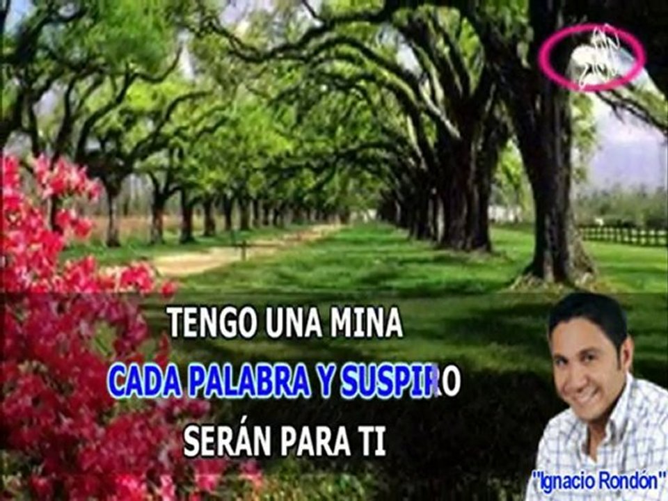 Ignacio Rondón - Mina de Amor - Karaoke