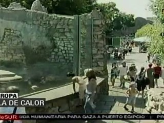 Europa sufre altas temperaturas