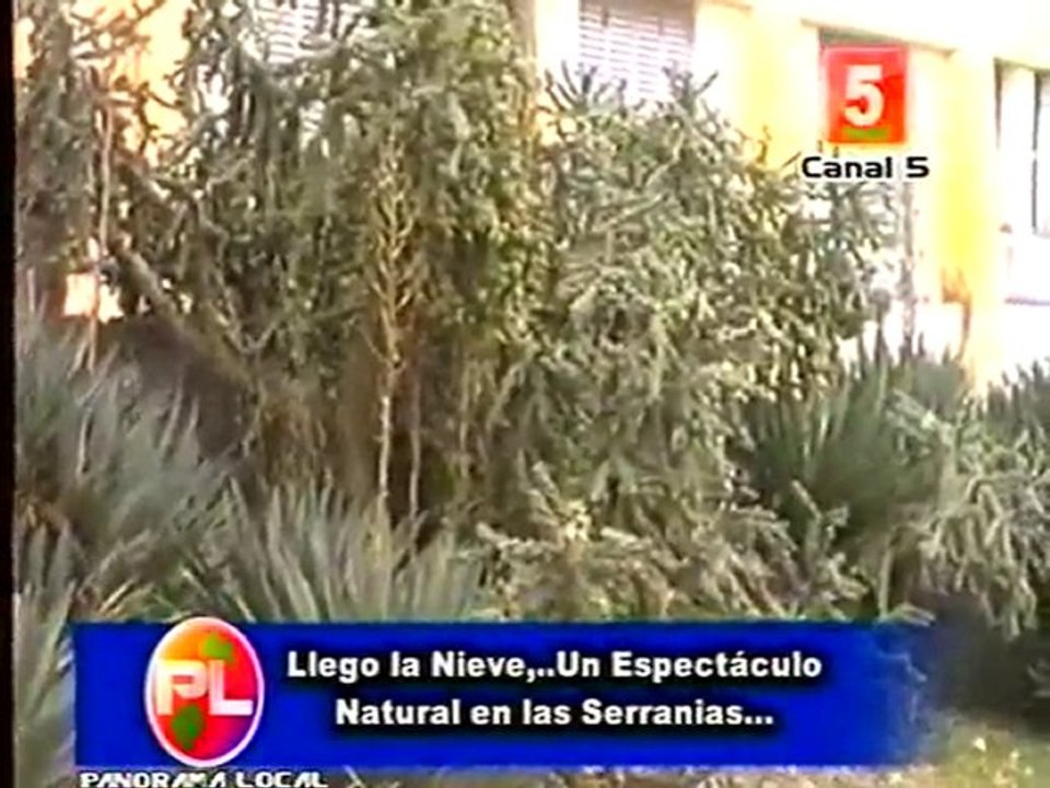 Nieve en Sauce Punco