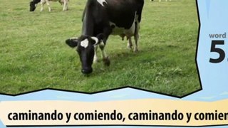 Learn Spanish-Learn with Spanish Farm Animals video