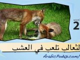 learn Arabic-Learn with Arabic wild animals video