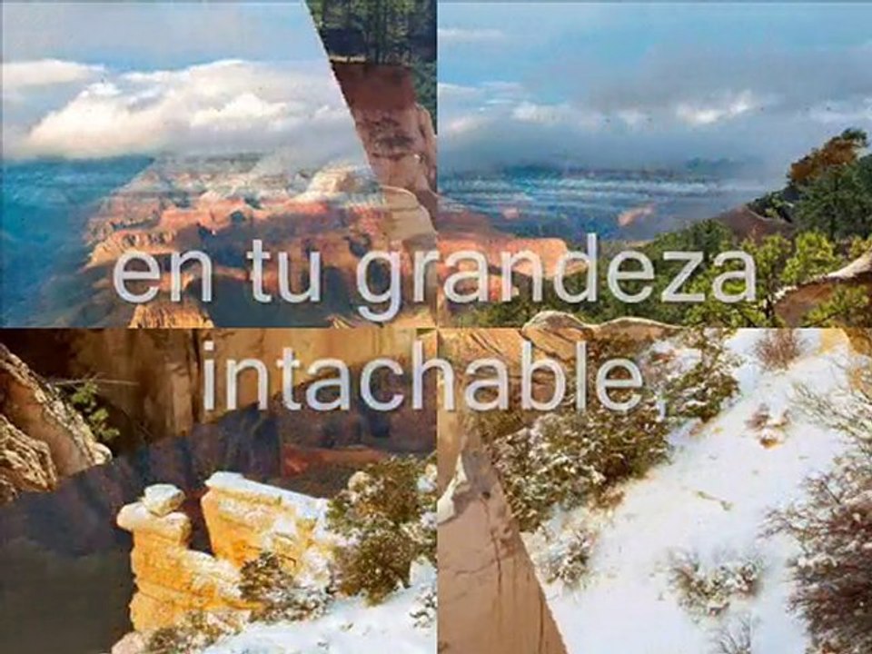 AVECES TE MIRO....