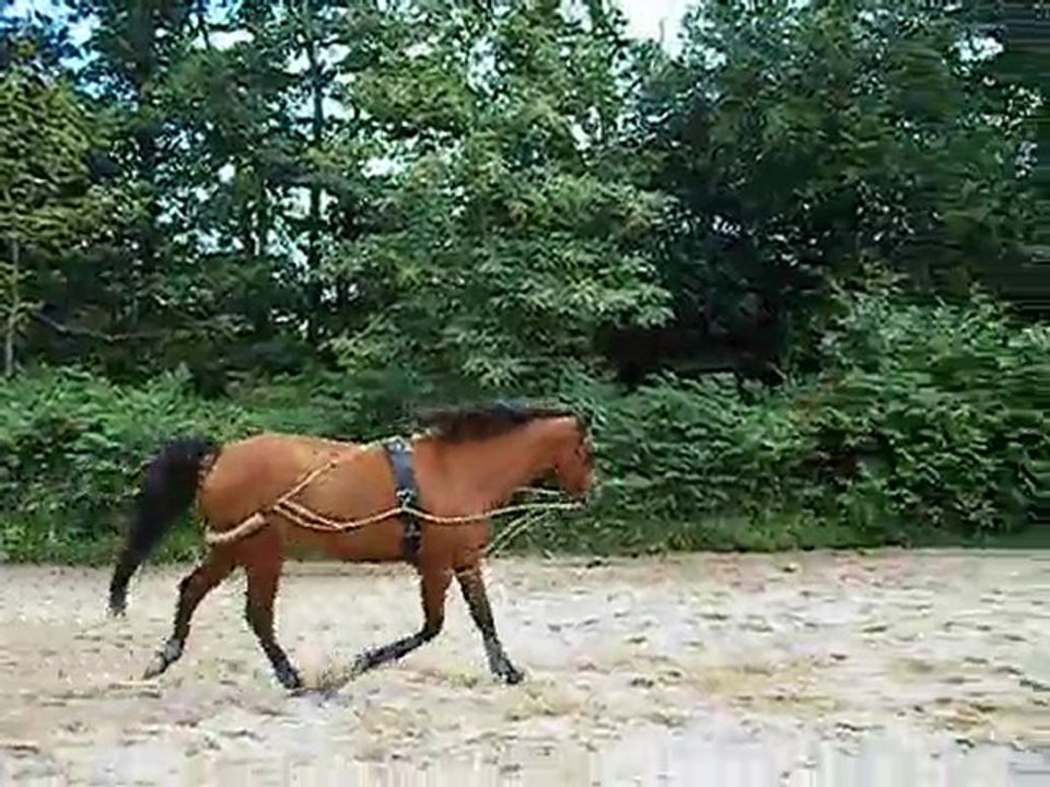 nozgwenn longe le 15-07-2010 (8)