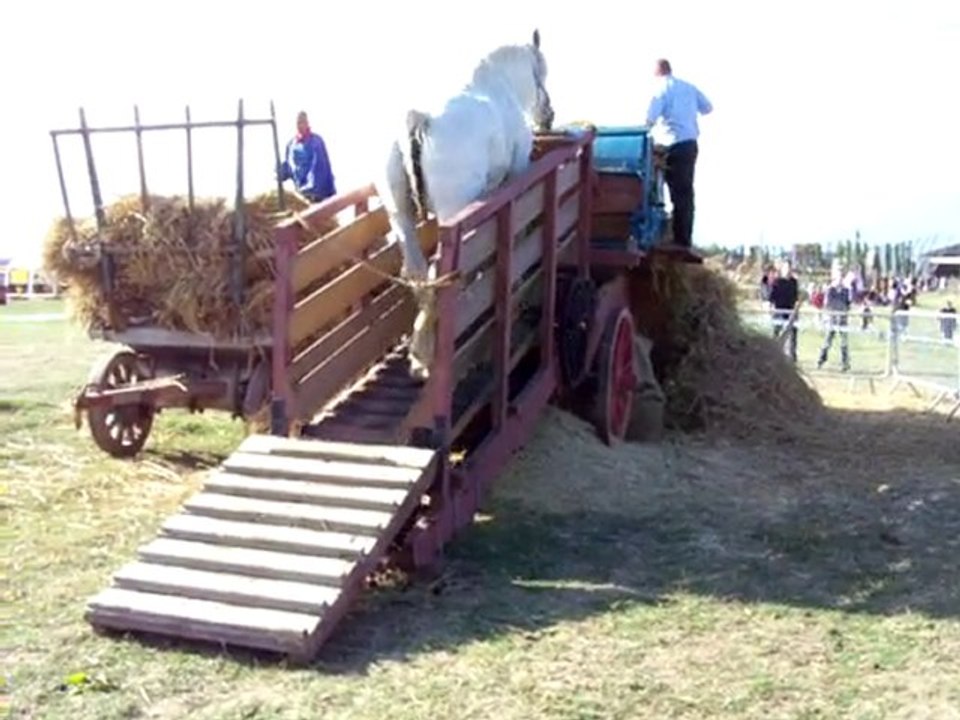 moisson St Jans Cappel 2009