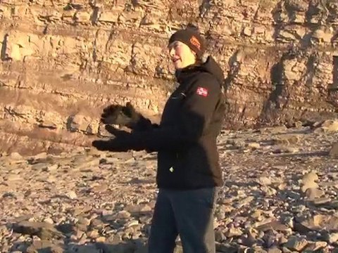 Joggins Fossil Cliffs, Bay of Fundy - Nova Scotia, Canada