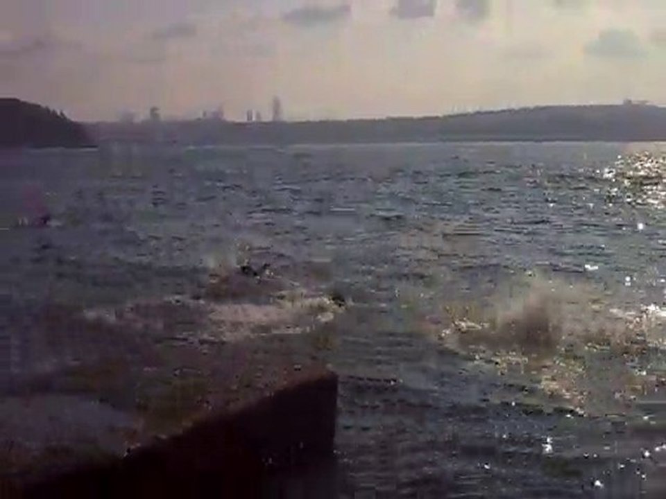 Video0100