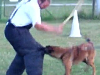 RING : FACE ELBOY 7 mois