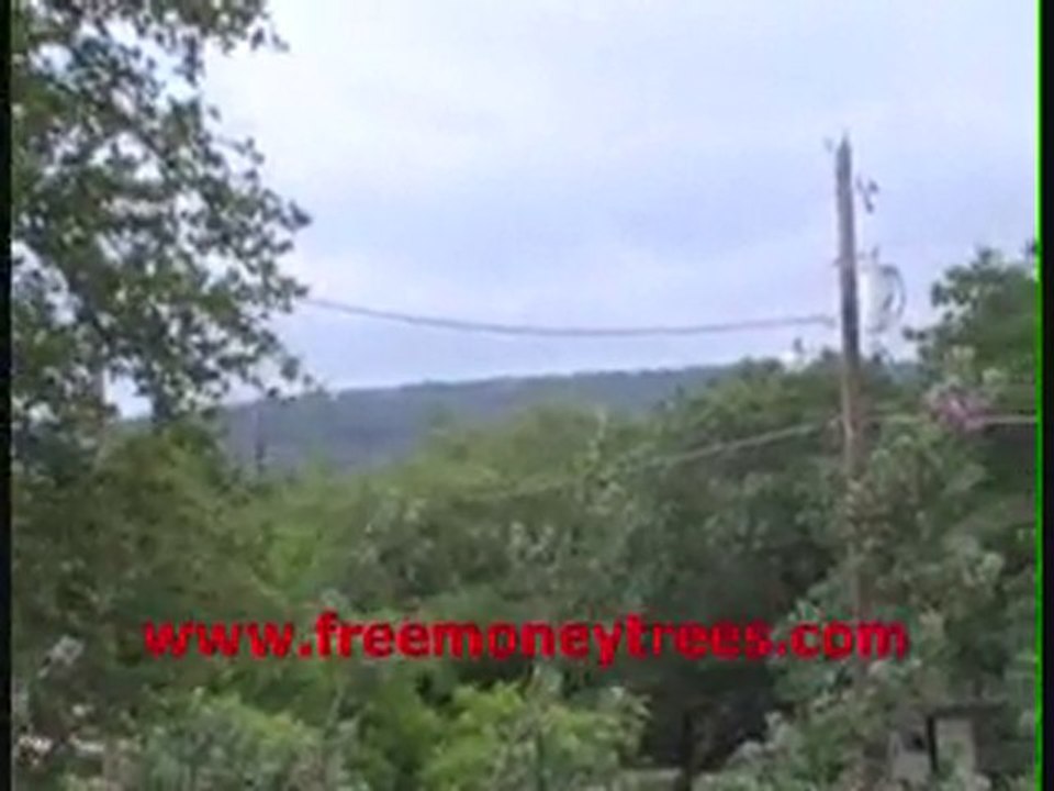 the beautiful view from my front porch int Texas