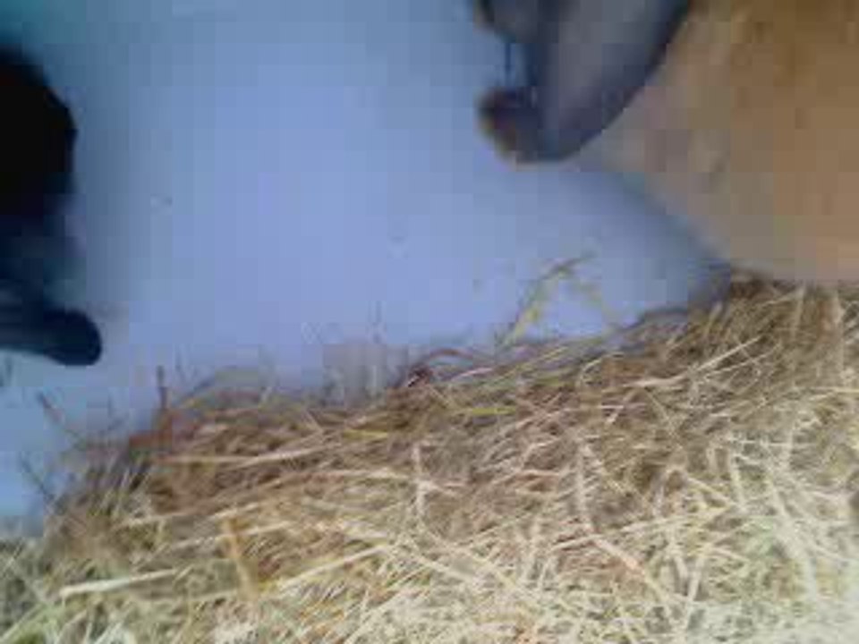 Webcam 1279283021414