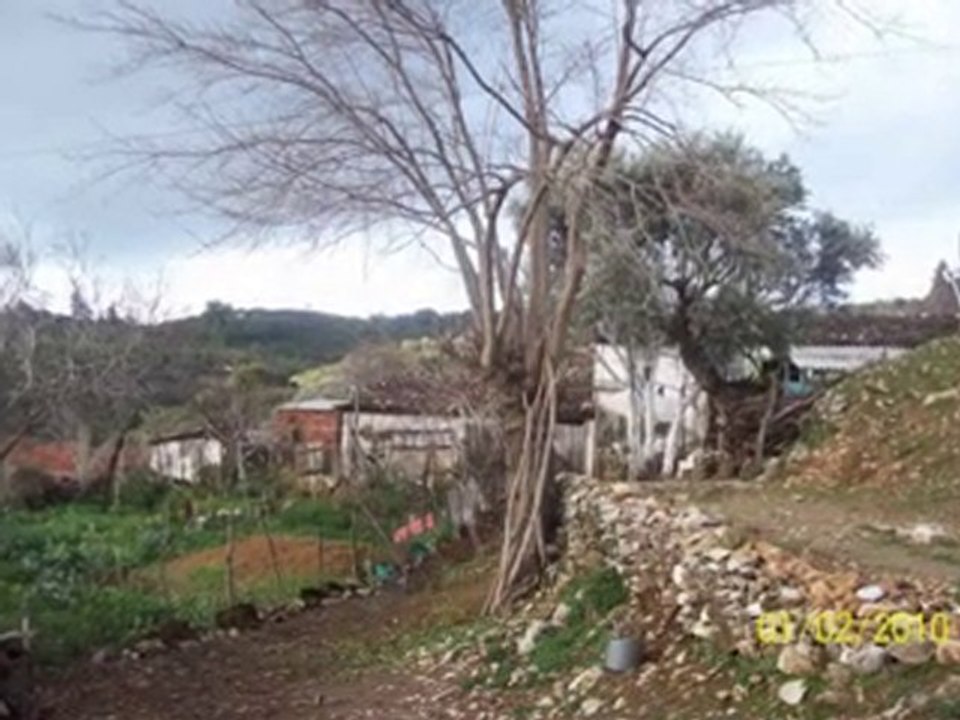dampınar köyü