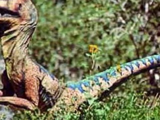 Le temps des Dinosaures