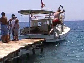 Deuxième plongeons ( petit celui-là)