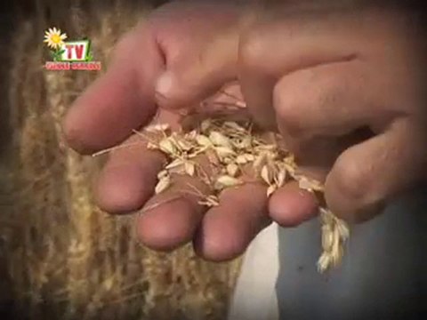Journal Vendée agricole TV du 16 juillet 2010