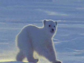 belgesel ses video efekt 3.örnek