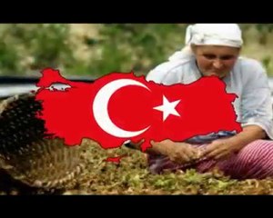 Türk Olmak Zor İştir