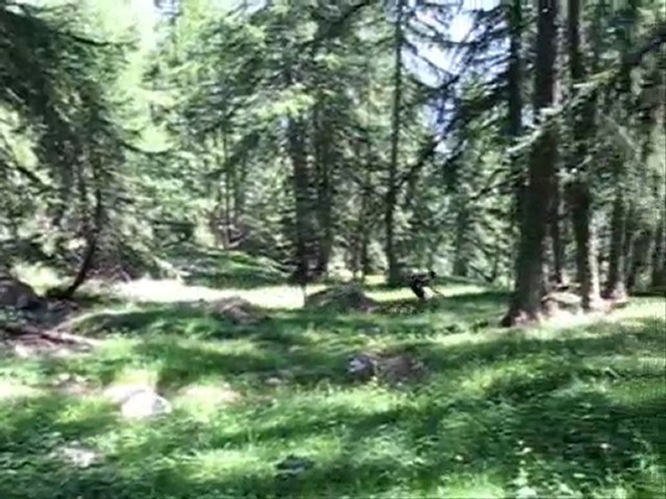 VTT Tramouillon