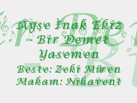 Ayşe İnak Ekiz-Bir Demet Yasemen