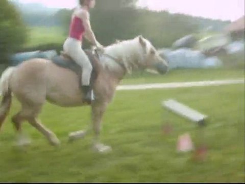 Les pouliches: Baïla et Tempête, suite du débourrage