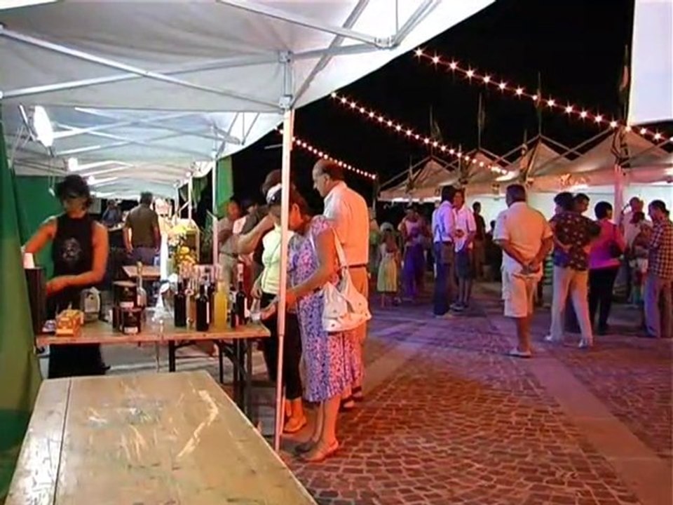 TV sei edizione Tesori di Fattoria 2009