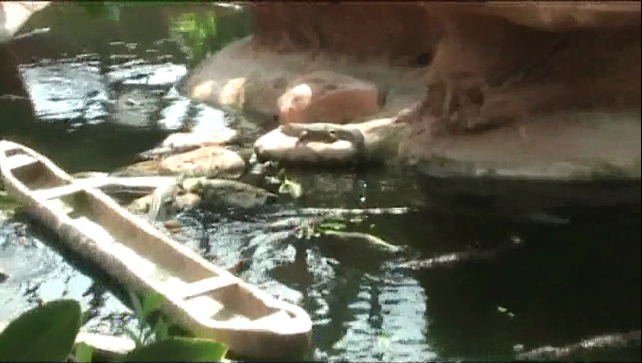 La planète aux crocodiles