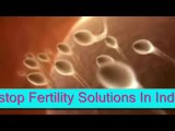Human Fertilization,sperm to an egg.