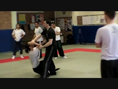 France Wing Chun Stage fin de saison 2009/2010