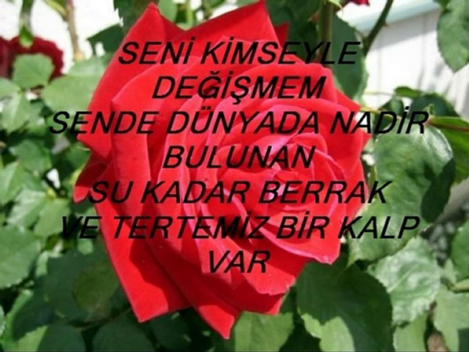S_E_V_C_A_N