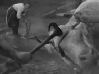 gare du nord le sang des betes