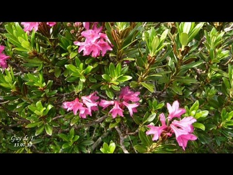 ALLOS A. (Repérage LAC d'Allos et TOURS DU LAC D'ALLOS)