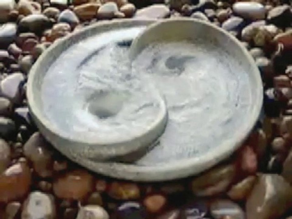 DYNAMIC WATERS of TAI CHI SYMBOL DLM